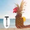 Pretty Prickly Pineapple Peeler The 4P Tool